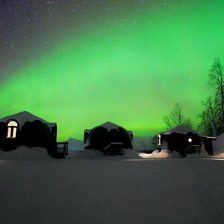 Talkeetna Aerie Adventure Lodge Kültér fotó